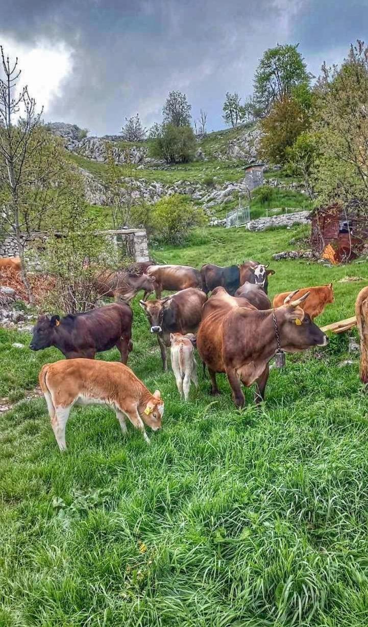 شقة Konak Umoljani المظهر الخارجي الصورة